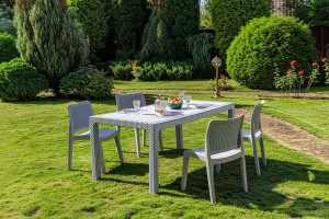 Обеденный комплект JULY S светло-серый Royal Family Обеденный комплект JULY S светло-серый Royal Family