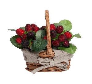 Декоративное растение Wild Strawberry