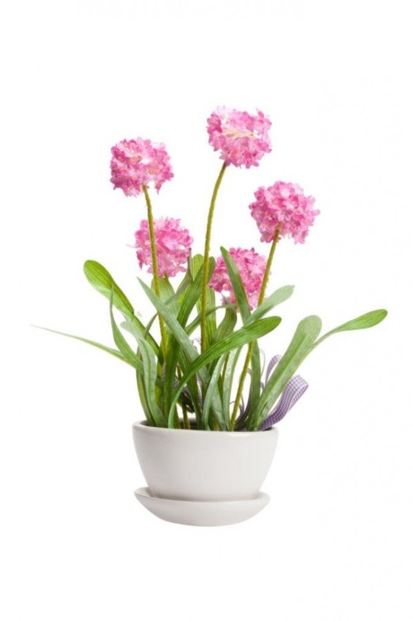 Декоративный цветок Eva