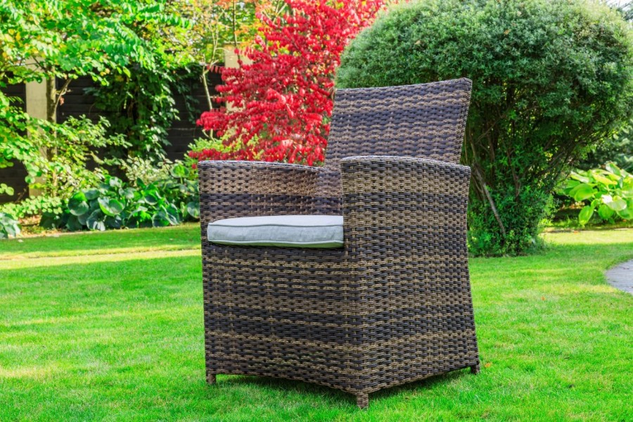 Обеденный комплект мебели LUDWIG + FIONA коричневый Royal Family