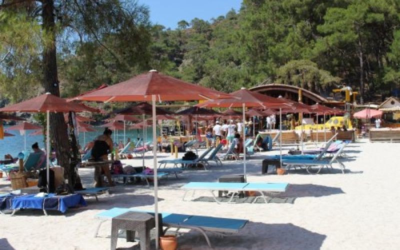 Уличный зонт Kiwi Clips Scolaro