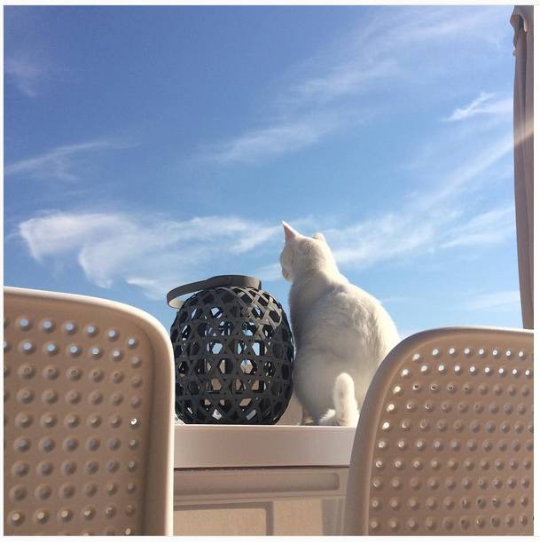 Стул пластиковый Bora Bistrot белый Nardi