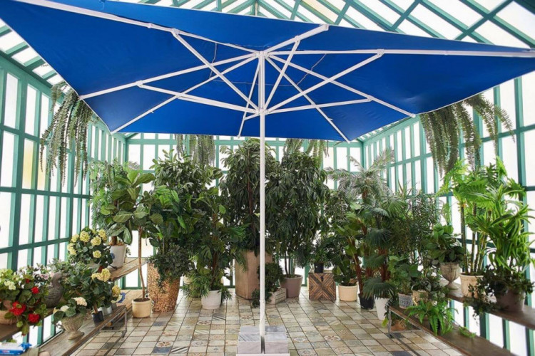 Зонт Mistral 400 квадратный Royal Family