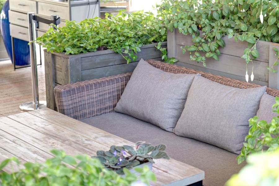 Диван трехместный Капучино Brown 4sis