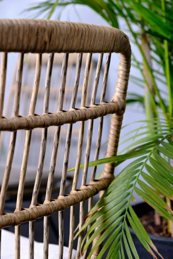 Обеденный стул Charlotte Joygarden