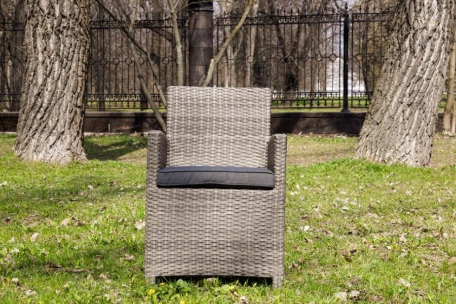 Кресло обеденное Royal Family FIONA серое