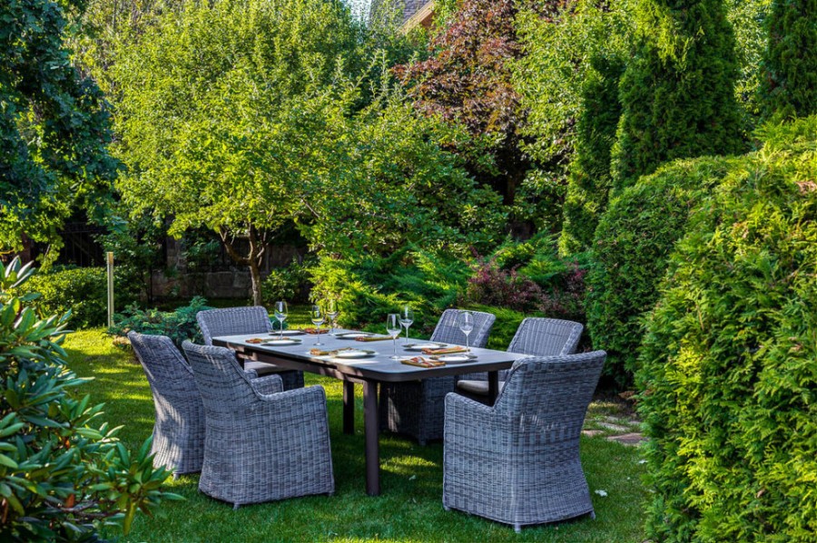 Кресло обеденное Sunstone Joygarden