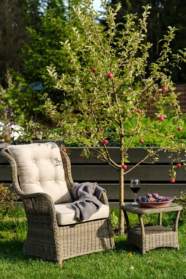 Лаунж зона GENEVA Joygarden