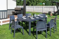 Обеденный комплект JULY L Royal Family